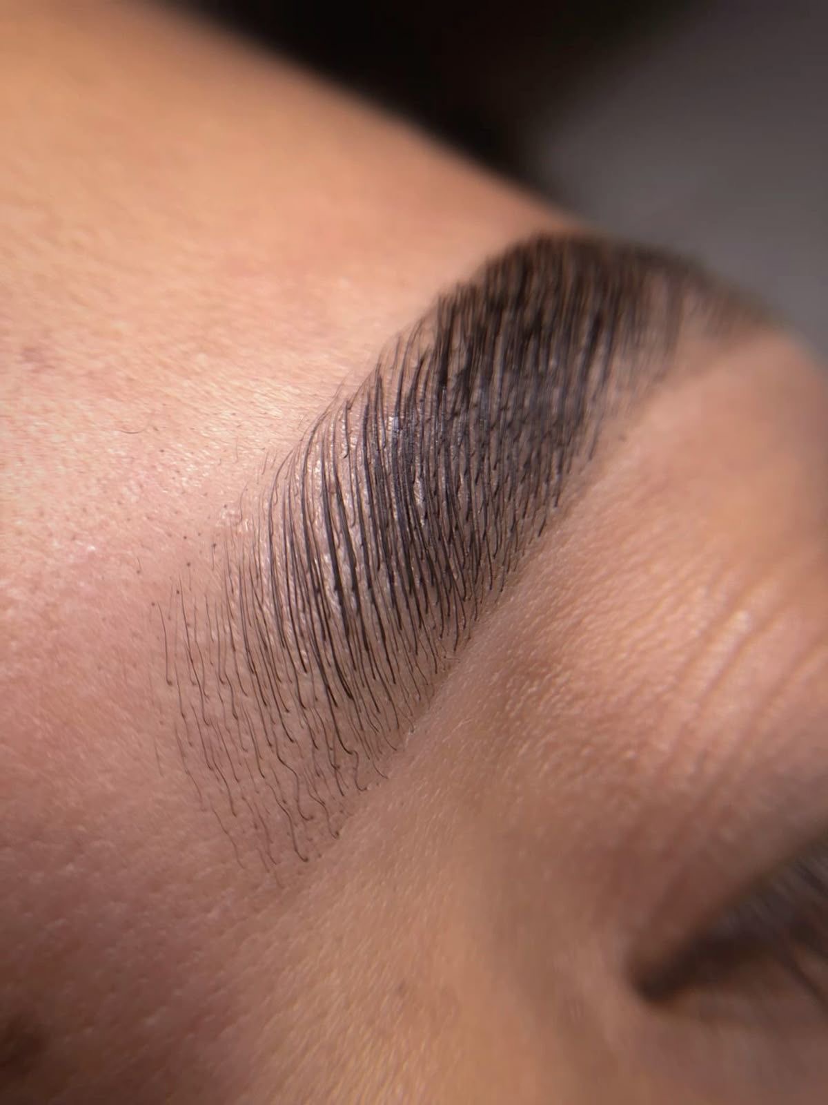 Laminado de cejas